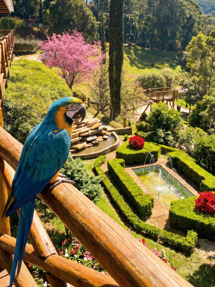 jardim dos pinhais — ecco parque | ingresso | campos do jordão